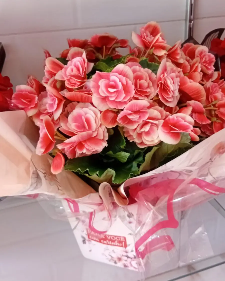 Flores da estação